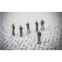Consultance en gestion des risques psychosociaux